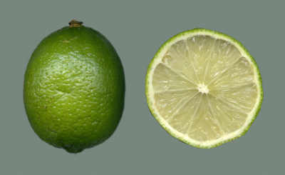 ����� ���� ����� ������� Citrus latifolia.j